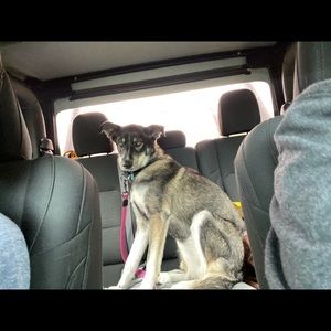 Meet your Posher, Christi